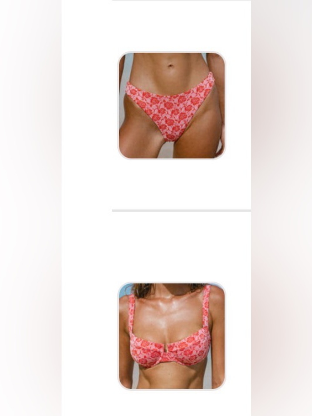 Red Rose Textured Bikini Bottom/Red Rose Textured Underwire Bikini